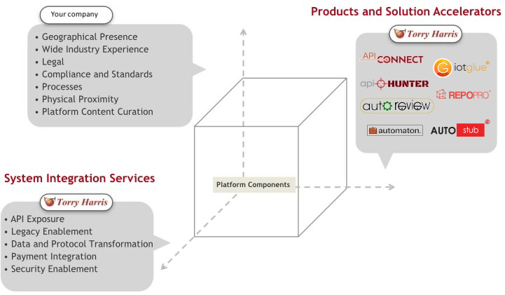 Services and technology products in the API space